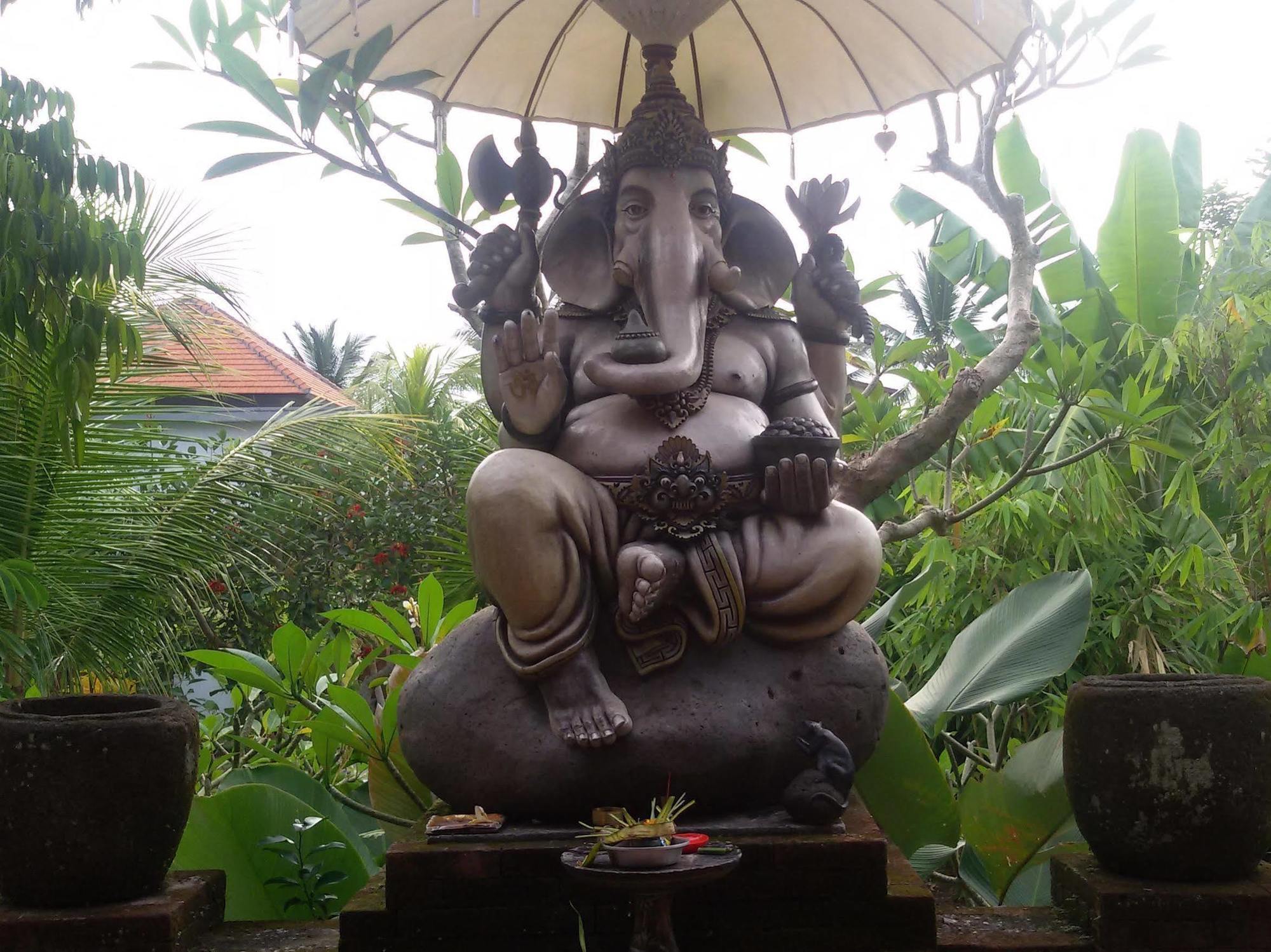 Gana Hotel & Restaurant Ubud Buitenkant foto